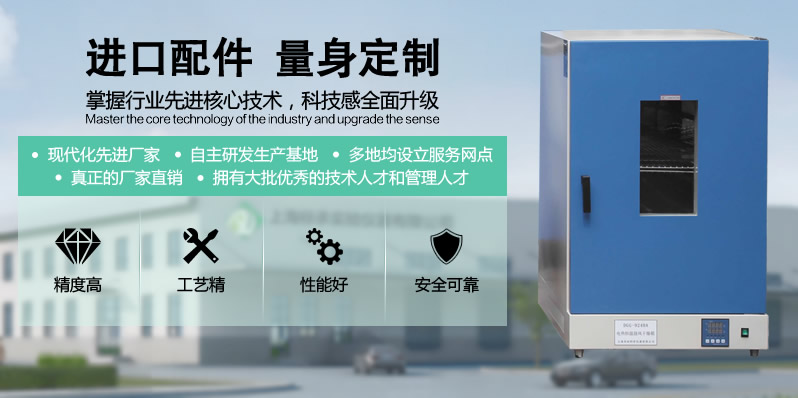 電熱鼓風干燥箱